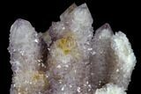 Cactus Quartz (Amethyst) Cluster - South Africa #115120-2